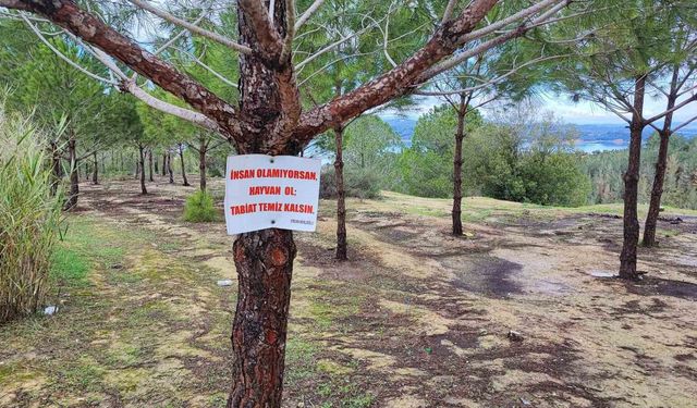 Ağaca Asılan Not Bile Çare Olmadı! Seyhan Kıyısındaki Çöp Manzarası Şaşırttı