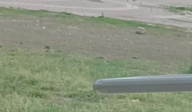 Adana’da Sokak Ortasında Dehşet! Sopalar ve Tüfekler Konuştu