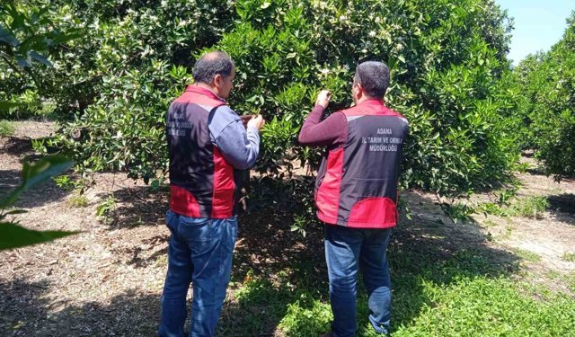 Kozan’da Tarımda Büyük Değişim! Kimyasal İlaçlara Alternatif Geliyor