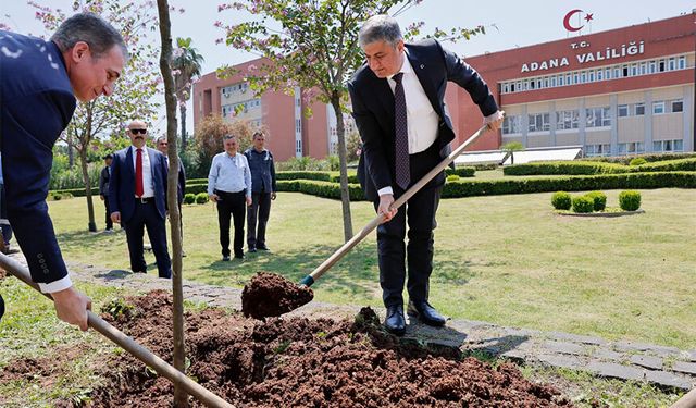 Adana Valiliği Bahçesinde Şaşırtan Dönüşüm: 36 Ağaç Toprakla Buluştu