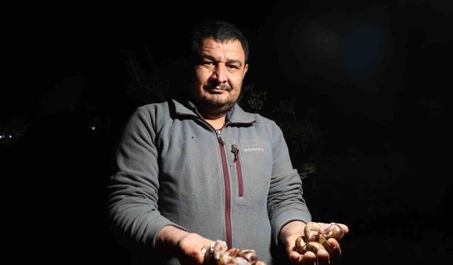 Kozan’da Gece Avı Başladı: Kilosu 35 Liradan Satılıyor