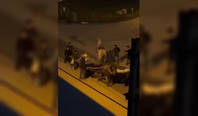 Ata ‘Kırbaç’lı Şiddet!