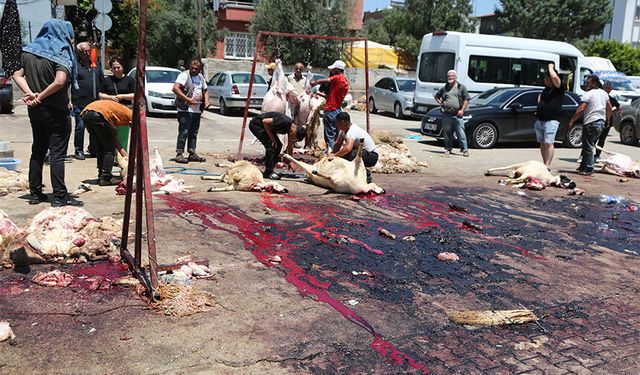 Kaldırımlar Kana Bulandı!