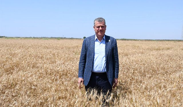 Sarı Altında Alım Fiyatı Peşin 20 Lira Üstünde Olmalı