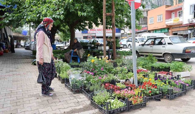 Kozan’da Ata Tohumu Fidelerine Yoğun İlgi!