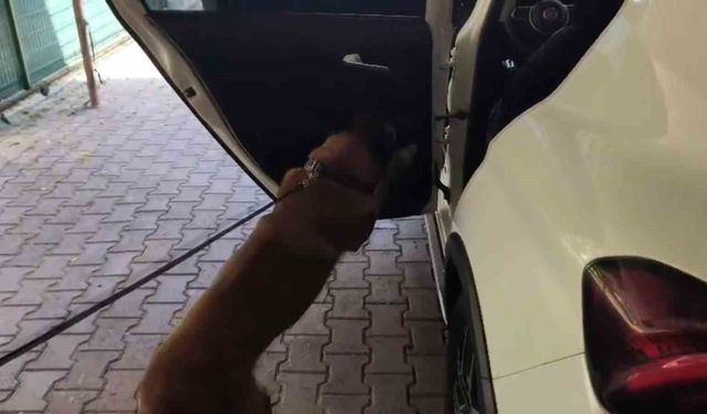 Zehir Zulasına ‘Tuzak’ Savunması!