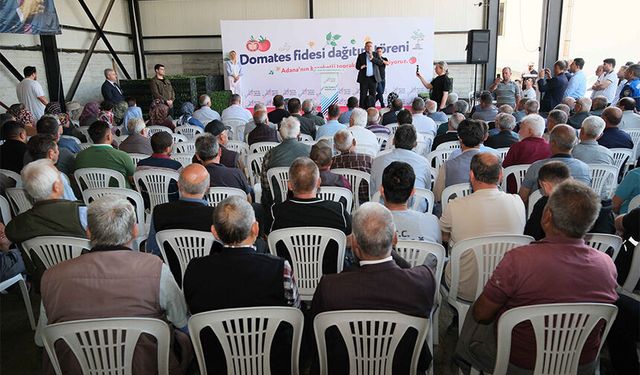 Adana Büyükşehir'den Üreticiye Can Suyu: 400 Bin Domates Fidesi Dağıtıldı