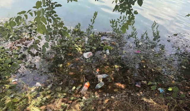 Adana'nın Kalbindeki Görüntü Tepki Çekti! Seyhan Nehri Alarm Veriyor