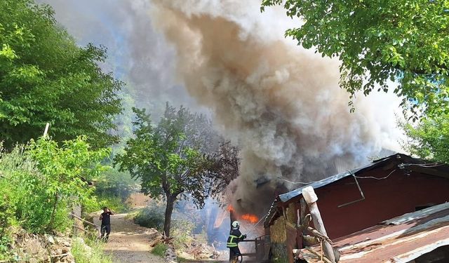 Bir Anda Büyüdü! Kozan’da Yangın İki Evi Küle Çevirdi
