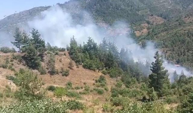 Adana'da Orman Yangını! Ekipler Zamana Karşı Mücadele Veriyor