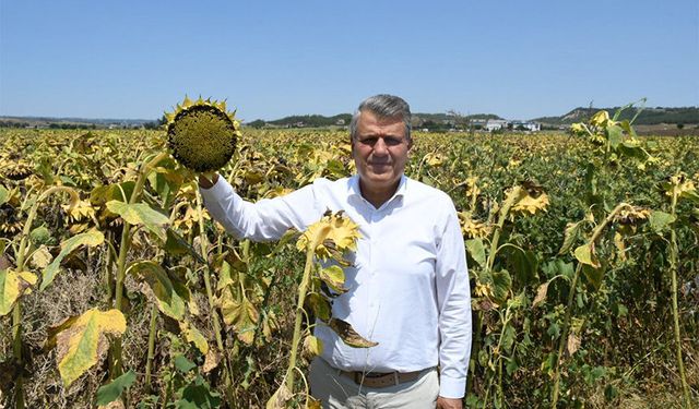Hasat Öncesi İthalat Kararı Tartışma Yarattı! Ayhan Barut'tan Sert Çıkış