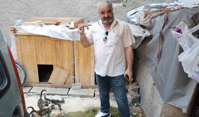 Adana'da Pes Dedirten Görüntü! Sokak Kedilerinin Mamalarını Çaldı