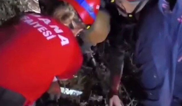 Ormanda Mahsur Kalan Kişi İçin Seferberlik!