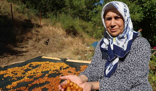 Adana'nın Bu Lezzetini Gören Şaşırıyor!