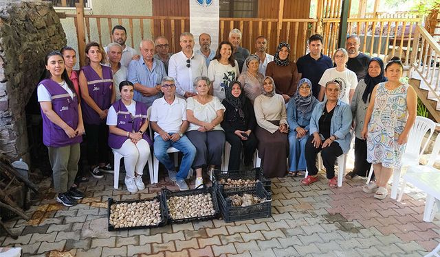 Adana’da Kadınlar Üretti, Hasat Başladı! Beyaz Zambak Projesinde İlk Sonuçlar Alındı