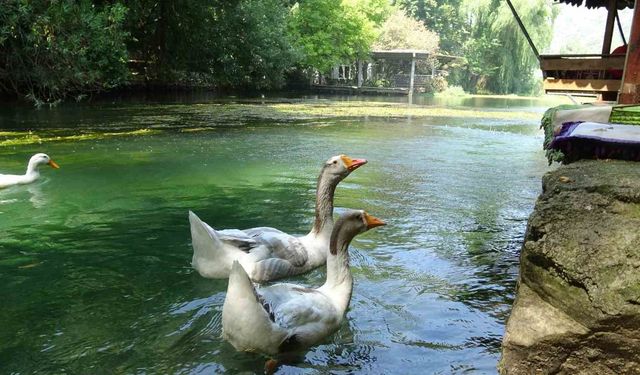 Adana'nın Bu Köşesi Akyaka'yı Aratmıyor!