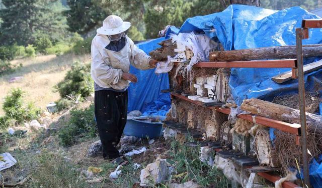 Emekli Oldu, Şehirden Vazgeçti! 30 Yıldır Toroslar'da Arılarıyla Yaşıyor
