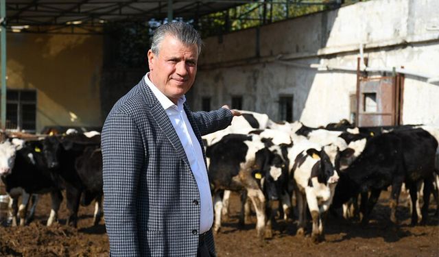2027’de 480 Bin Baş Sığır İthal Edilecek: Ayhan Barut’tan İktidara Sert Eleştiri