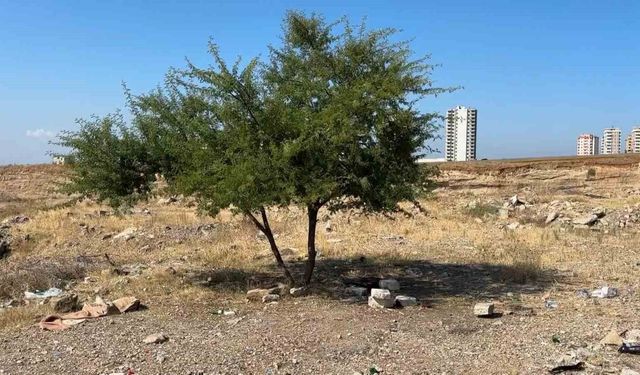 Adana’da 35 Yaşındaki Şahıs Boş Arazide Ölü Bulundu!