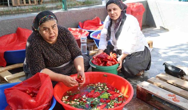 Adana’nın Kozan İlçesinde Geleneksel Salça Mesaisi Başladı!
