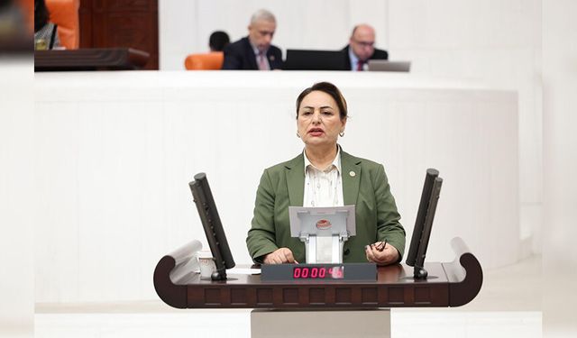 Şevkin’den Meclis’e Engelli Bireyler İçin İki Ayrı Önerge: “Bakım Emeği Görülmeli”