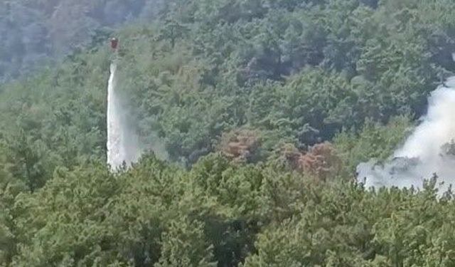 Kozan’da Korkutan Gelişme: Söndürülen Yangın Yeniden Başladı