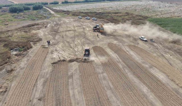 Adana’da Yer Fıstığında Fiyat Şoku!