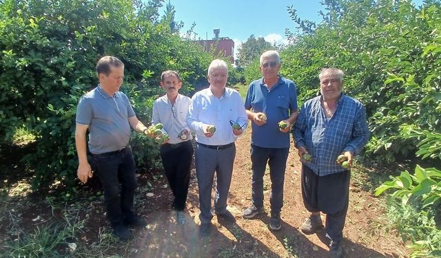 Adana’da Çiftçinin Kabusu: 35 Bin Dönüm Tarım Alanı Doludan Etkilendi