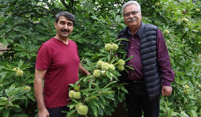 Bin 200 Rakımda 18 Yıllık Deneme!
