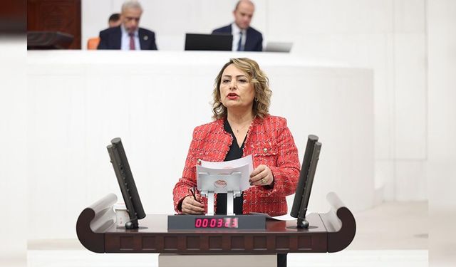 Şevkin’den Meclis’te Sert Çıkış: “830 Milyar Dolarlık Hırsızlığın Hesabını Kim Verecek?”