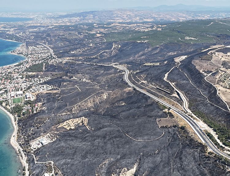 Çanakkale’de Yangın Söndü! Geriye Kalan Manzara Yürek Sızlattı
