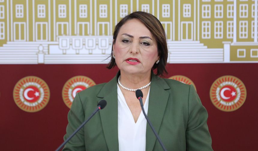 Şevkin: “Hastane Yok, Doktor Yok!”