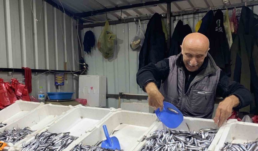 Hamsinin Ucuz Olması Vatandaşın İlgisini Arttırdı