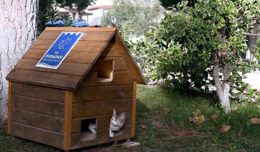 Can Dostların Yuvaları Kışa Hazır!