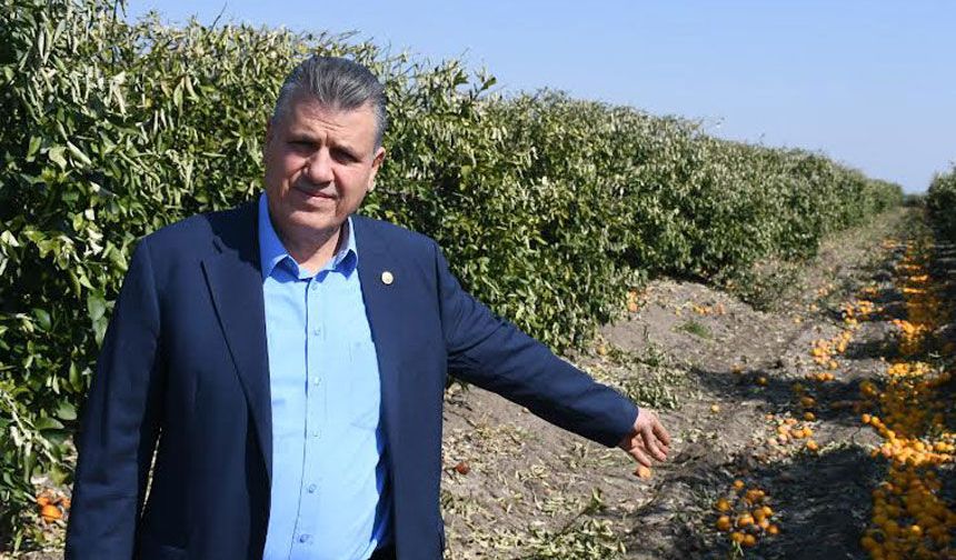 Barut: "Karantina Tedbirleri Alınmalı"