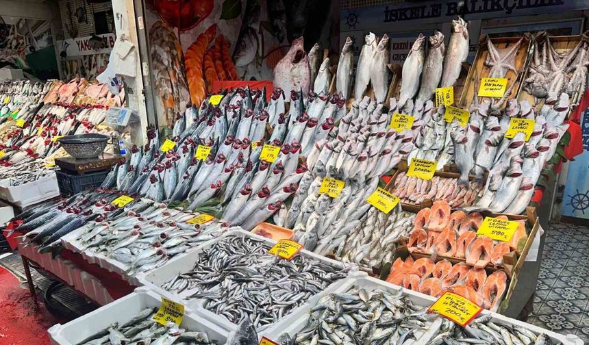 Balık Tezgahlarında Palamut Yerini Hamsi Ve Çinekop Bıraktı