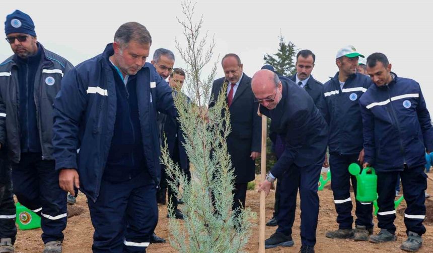 Milli Ağaçlandırma Günü’nde Fidanlar Toprakla Buluştu