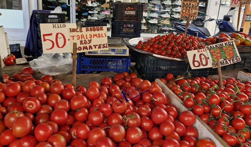 Domates Fiyatlarında Düşüş!