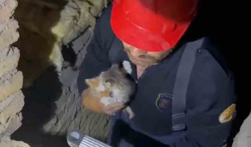 Havalandırma Boşluğuna Düşen Yavru Kediler Kurtarıldı