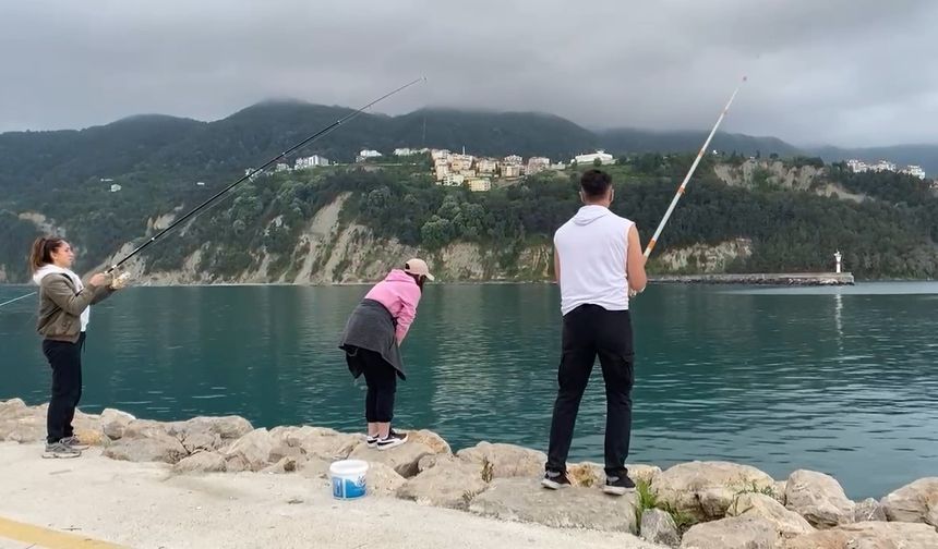 Balığın Kokusunu Alan Duyan Sahile Koştu!