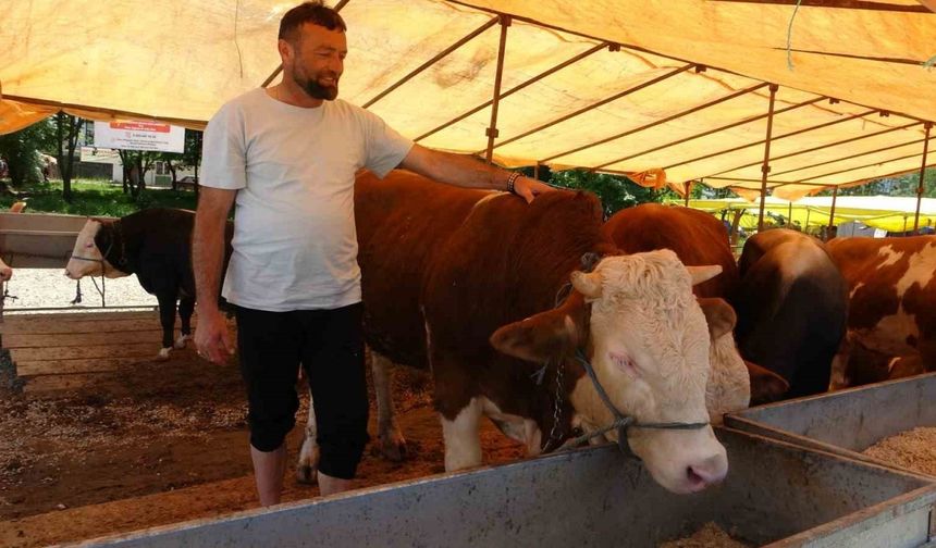 Kurban Satıcıları Dertli