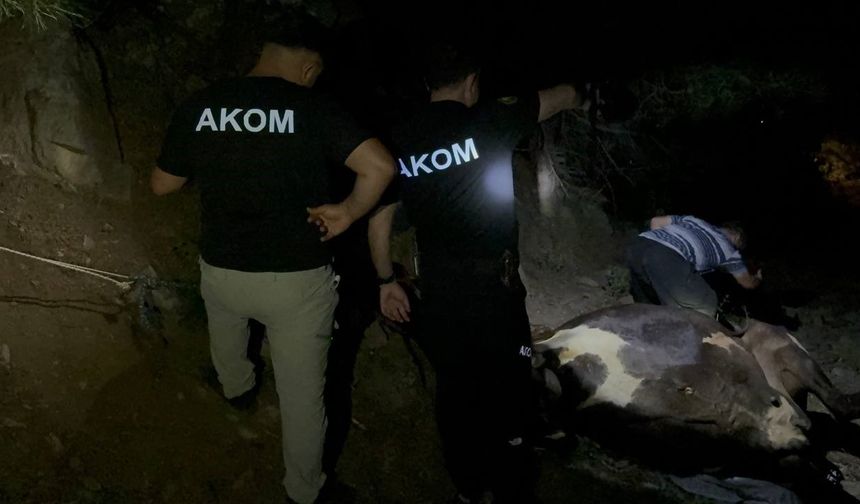 Kozan’da Kuyuya Düşen Kayıp İnek Saatler Sonra Kurtarıldı