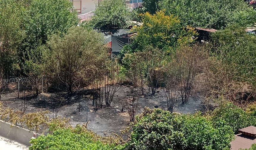 Yüreğir’de Ağaçlık Alanda Çıkan Yangın Korkuttu