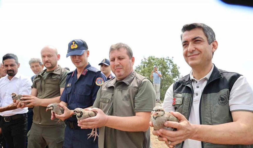 Adana’da Keklikler Göreve Başladı: Şimdi Onlar Düşünsün!