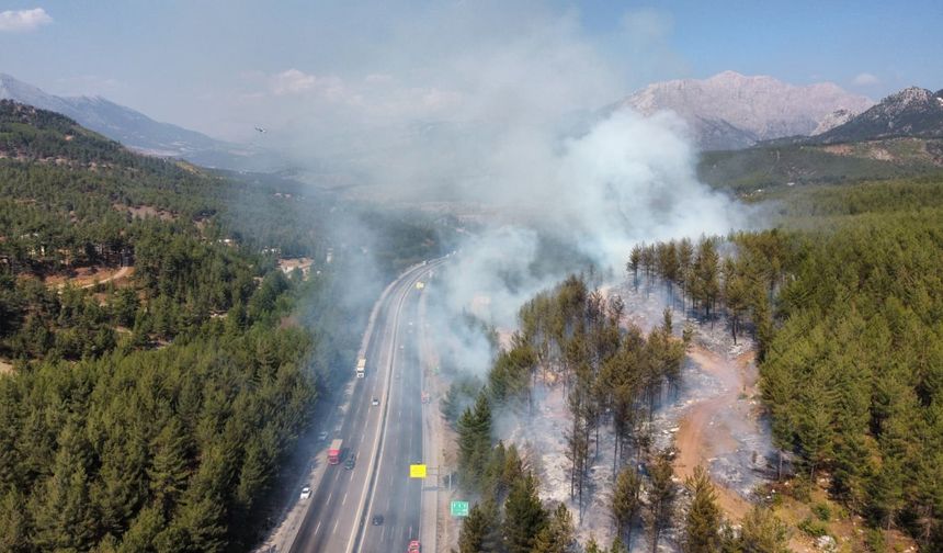 Adana’da Aracın Neden Olduğu Orman Yangını Kontrol Altına Alındı