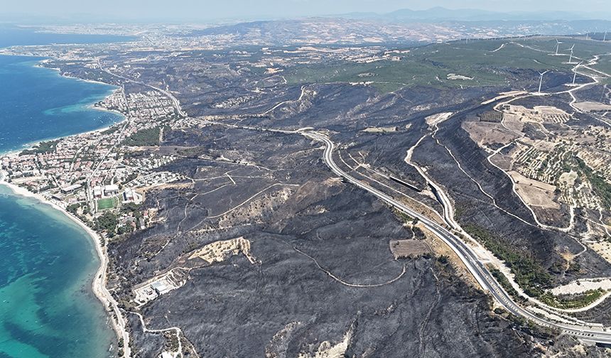 Çanakkale’de Yangın Söndü! Geriye Kalan Manzara Yürek Sızlattı