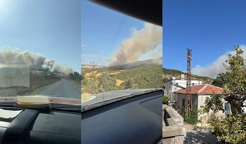 Rüzgar Alevleri Taşıdı! Gelibolu’da Büyük Yangın Alarmı