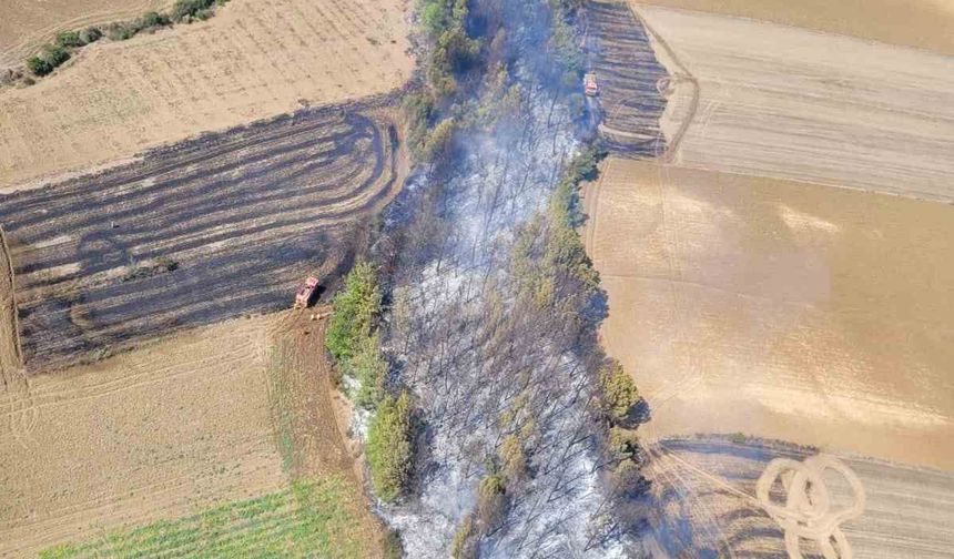 Havadan ve Karadan Seferberlik: Adana’daki Orman Yangını Kısa Sürede Söndürüldü