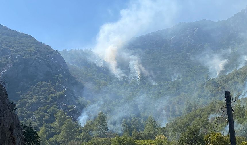 Silifke’de Kontrol Sağlandı, Anamur’da Kritik Mücadele Sürüyor!