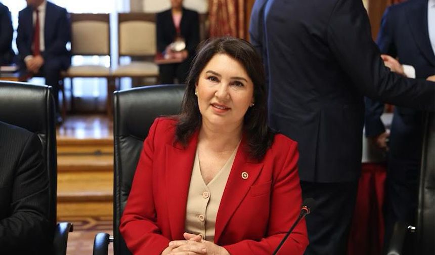 Meclis’te Tarihi Oturum! “Toplumsal Dayanışma İçin STK’larla El Ele”